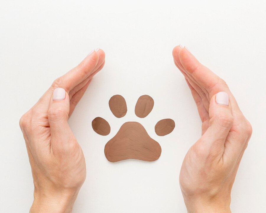 Dog Wiki